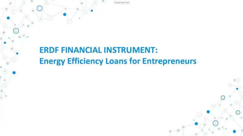 Scale-up Energy Efficiency Loans for Entrepreneurs Scale-up Energy Efficiency Loans for Entrepreneurs