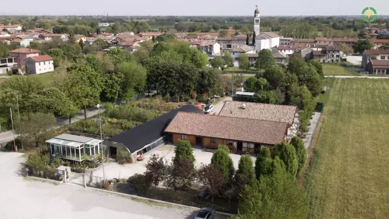 Vivai Roman: New avenues open for a family business Vivai Roman: New avenues open for a family business