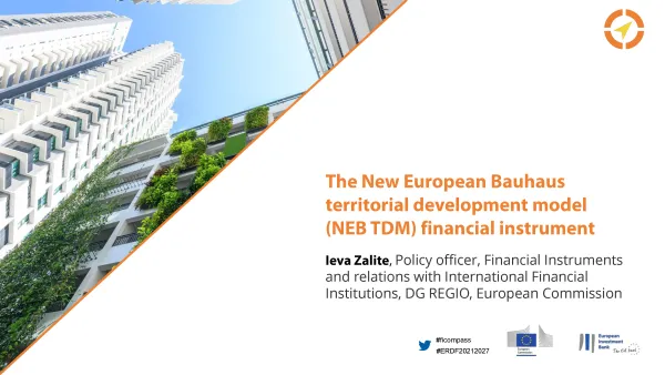 The New European Bauhaus territorial development model (NEB TDM) financial instrument