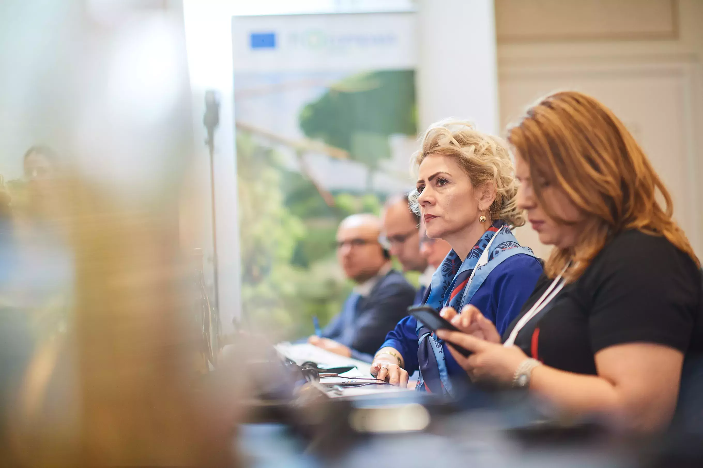 Ms Camelia Luchian and event participants