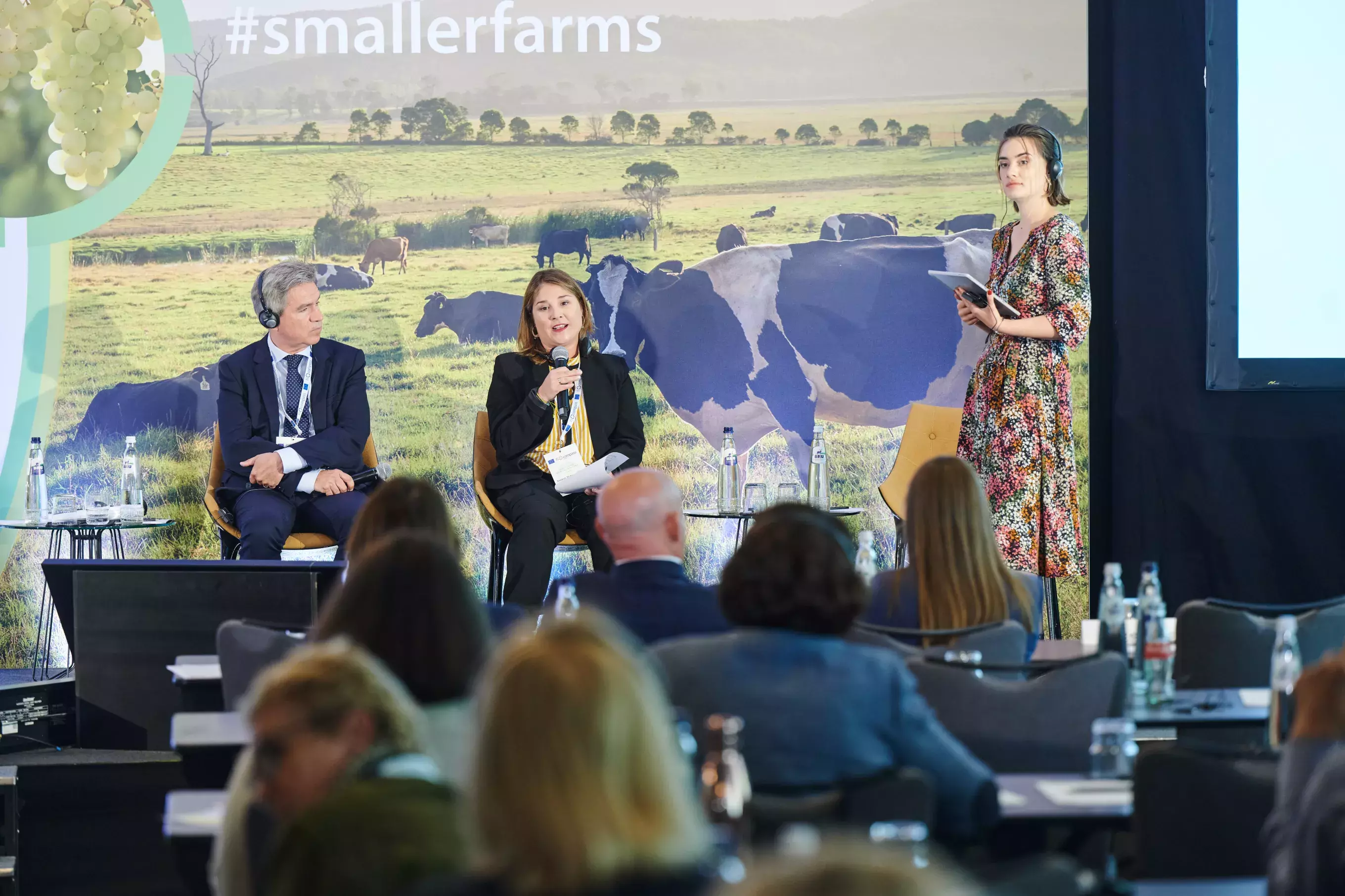 Q&amp;A with the audience