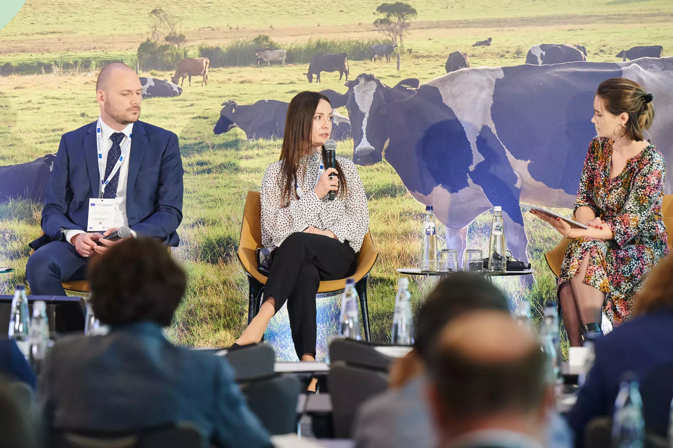 Q&amp;A with the audience