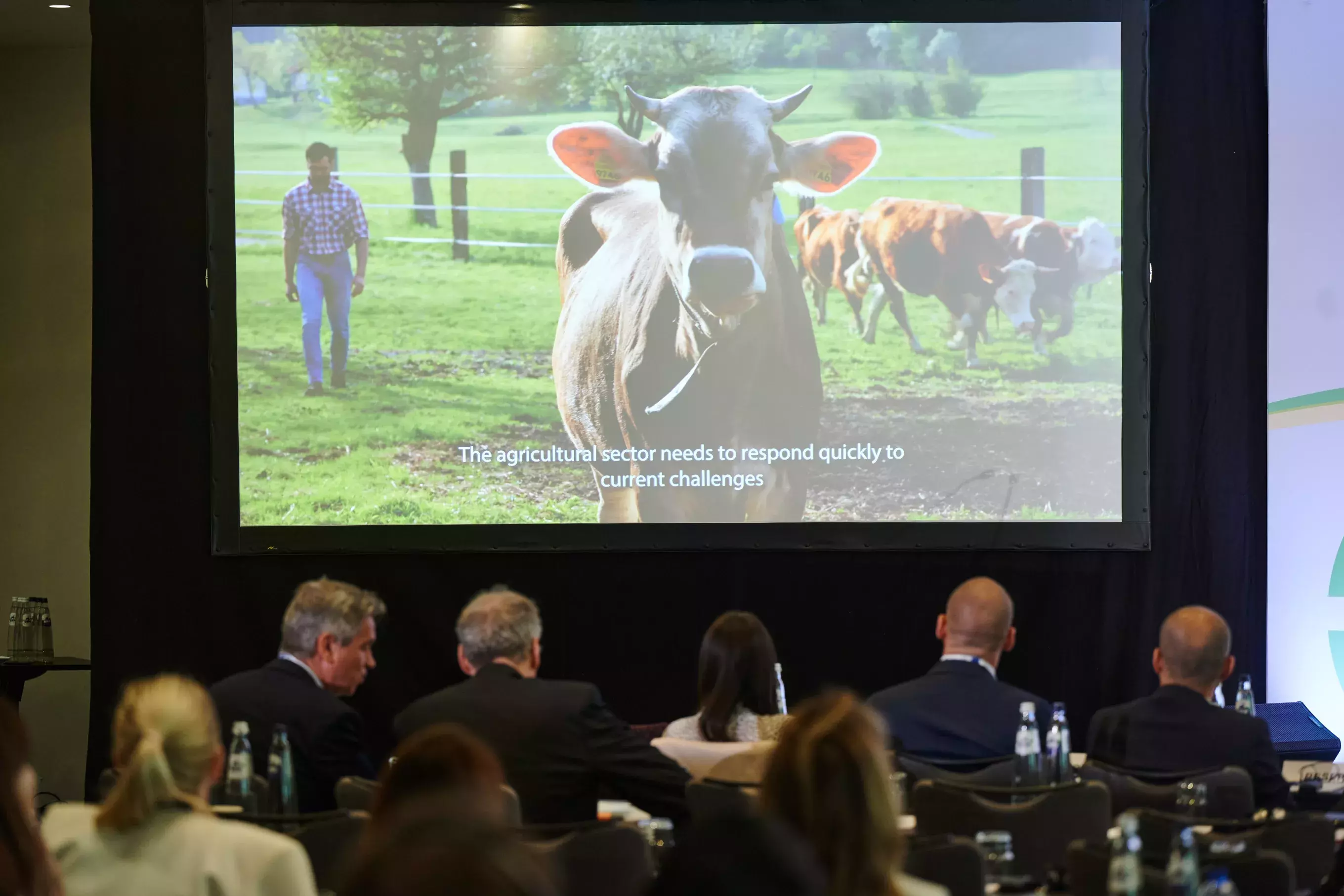 Video showcasing project examples of small farms supported by EAFRD FIs