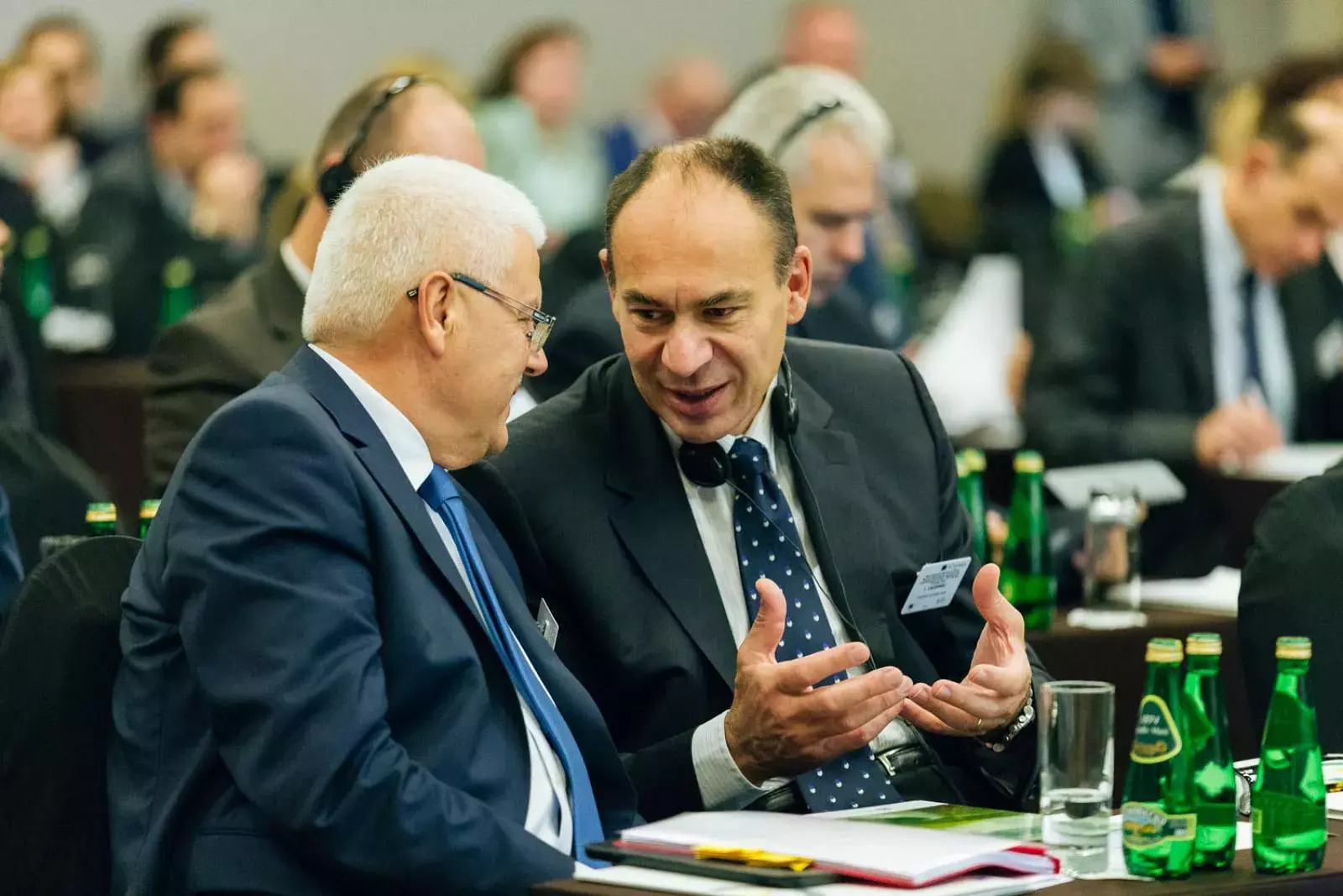 Jerzy Plewa and Luca Lazzaroli