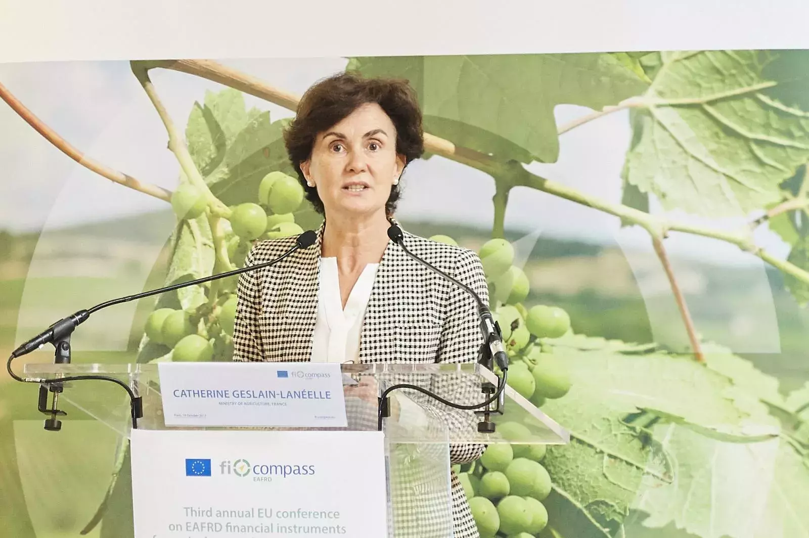 Ms Catherine Geslain-Lanéelle