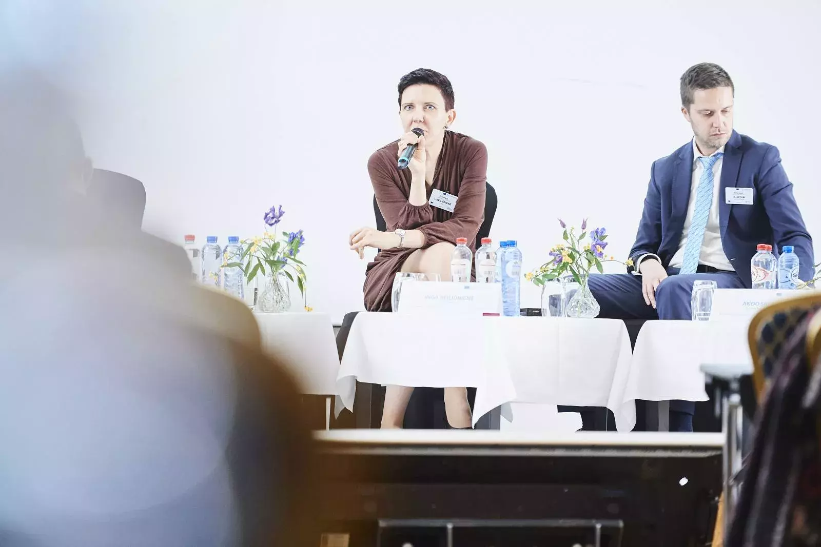 Ms Inga Beiliūnienė, Mr Ando Siitam