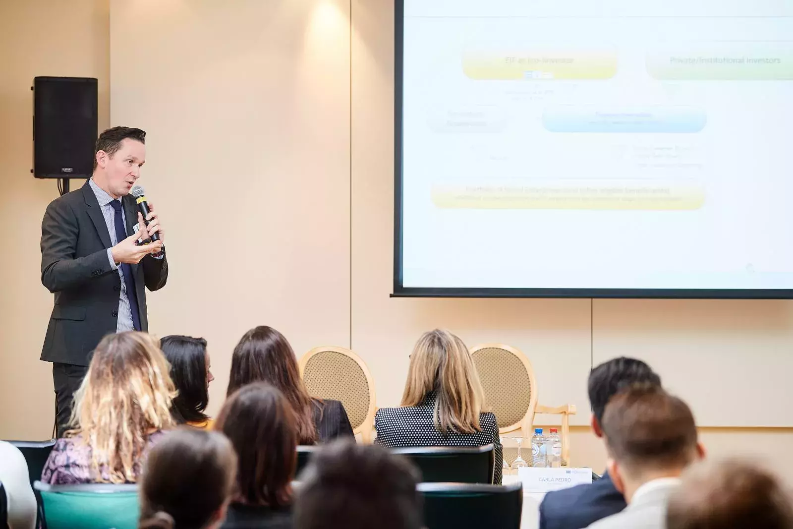 Mr Philippe Bernard-Treille