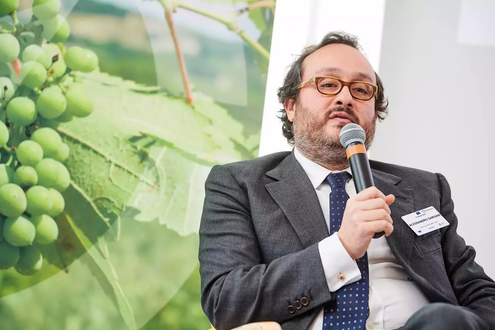 Mr Alessandro Gargani