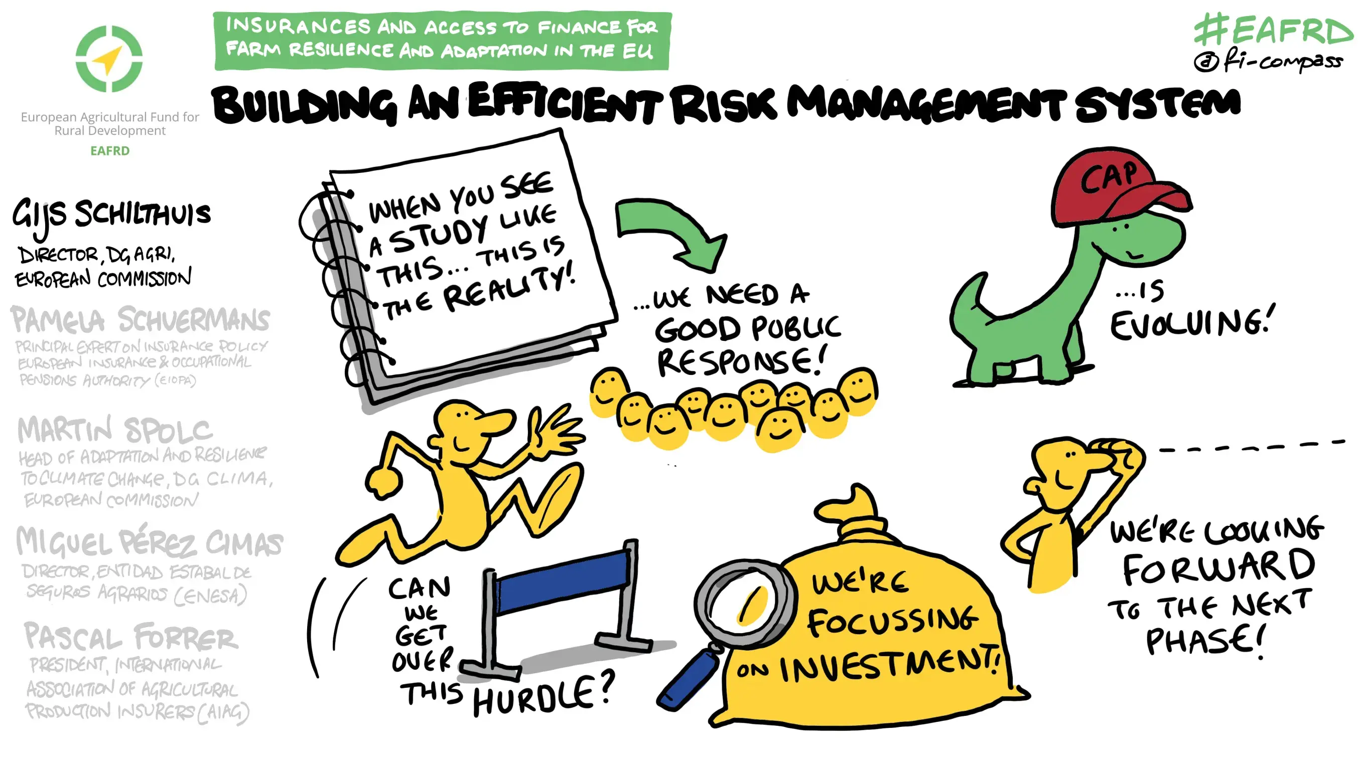 Mr Gijs Schilthuis, Director