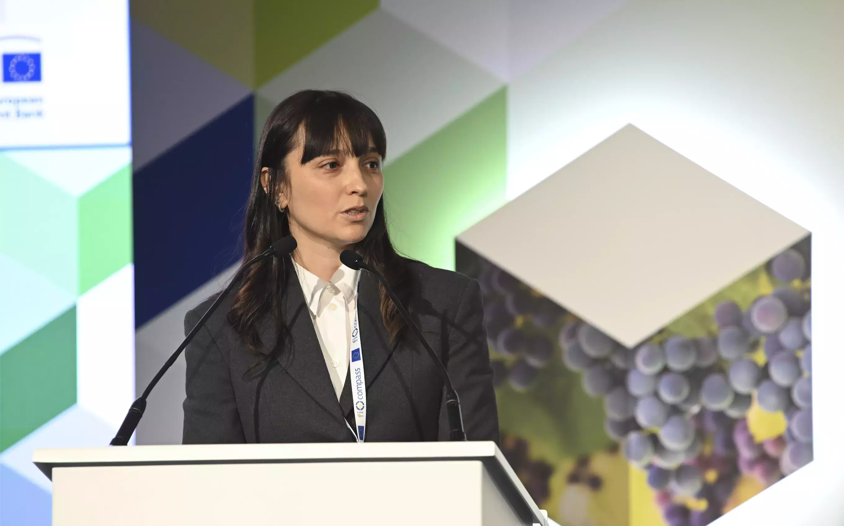 Ms Cristina Mobiglia