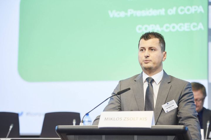 Mr Miklos Zsolt Kis