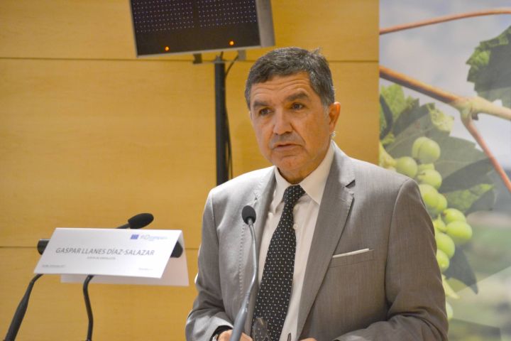 Gaspar Llanes Díaz-Salazar