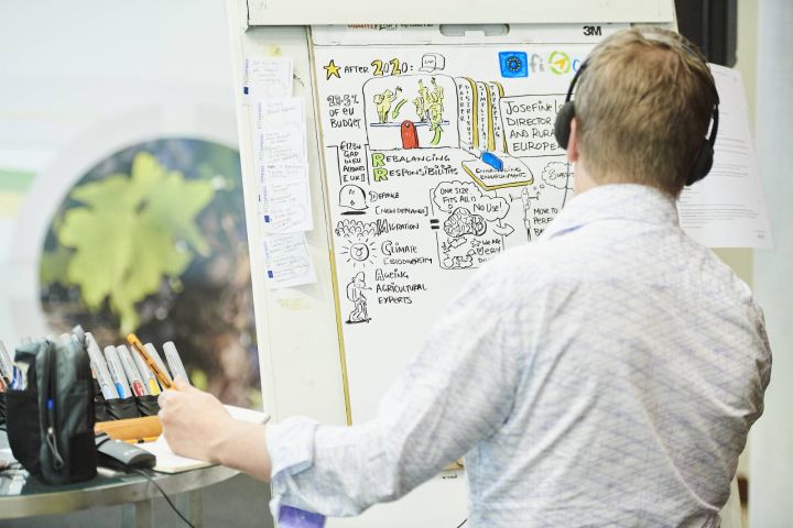 Illustrator at work