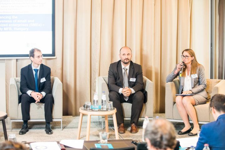 Mr Gábor Soós, Mr Csaba Zsarnóci, Ms Miglena Dobreva