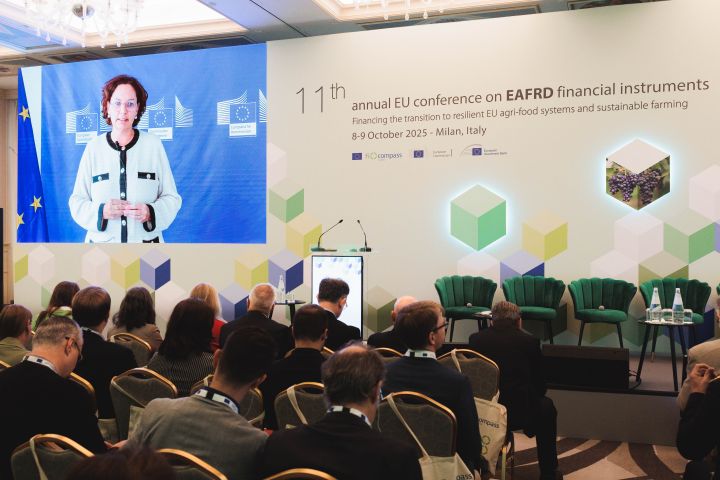 Ms Elisabeth Werner (video speech)