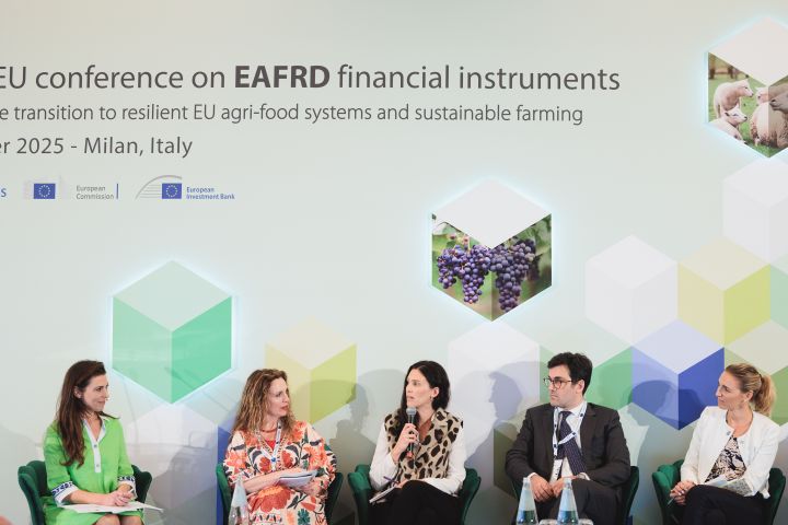 Panel discussion and Q&A with the audience