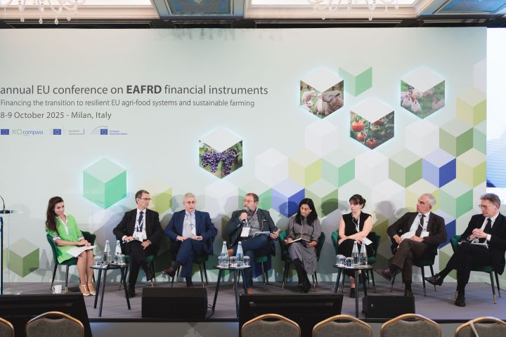 Challenges, opportunities and financing aspects in integrated agri-food value chain approaches