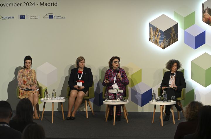 Insights from the set-up of the new and innovative CAP SP financial instruments in the EU MSs 