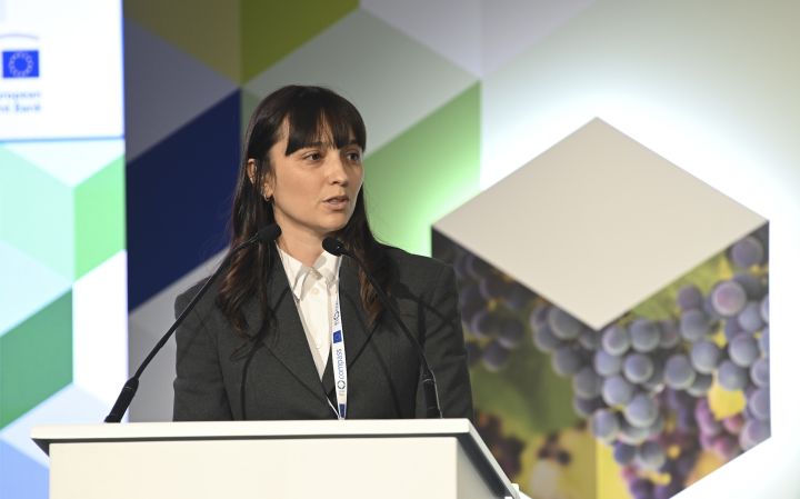 Ms Cristina Mobiglia