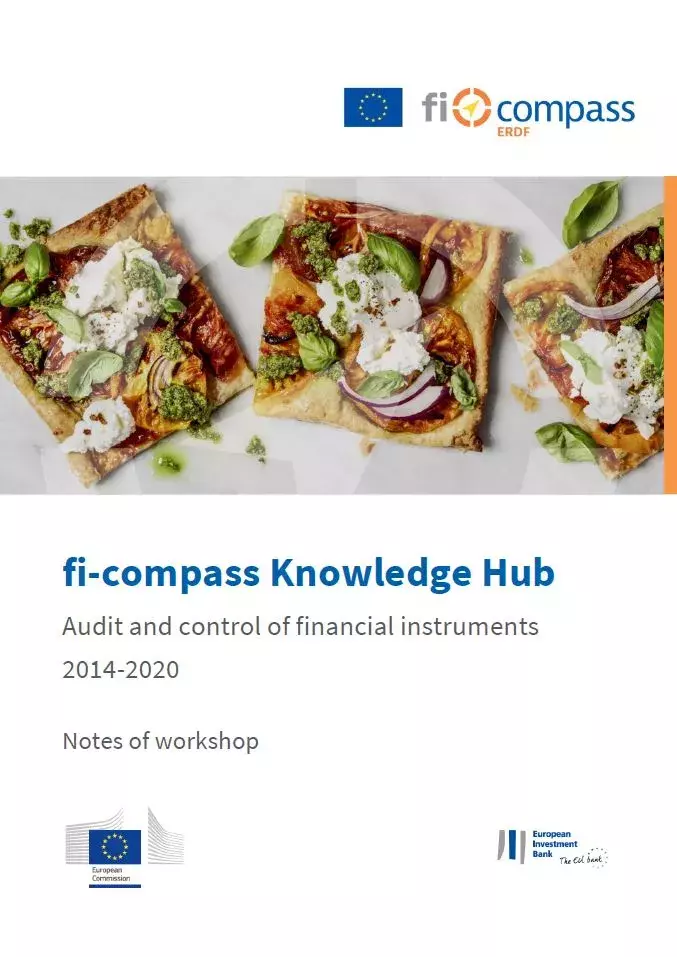 fi-compass Knowledge Hub Audit and control of financial instruments 2014-2020