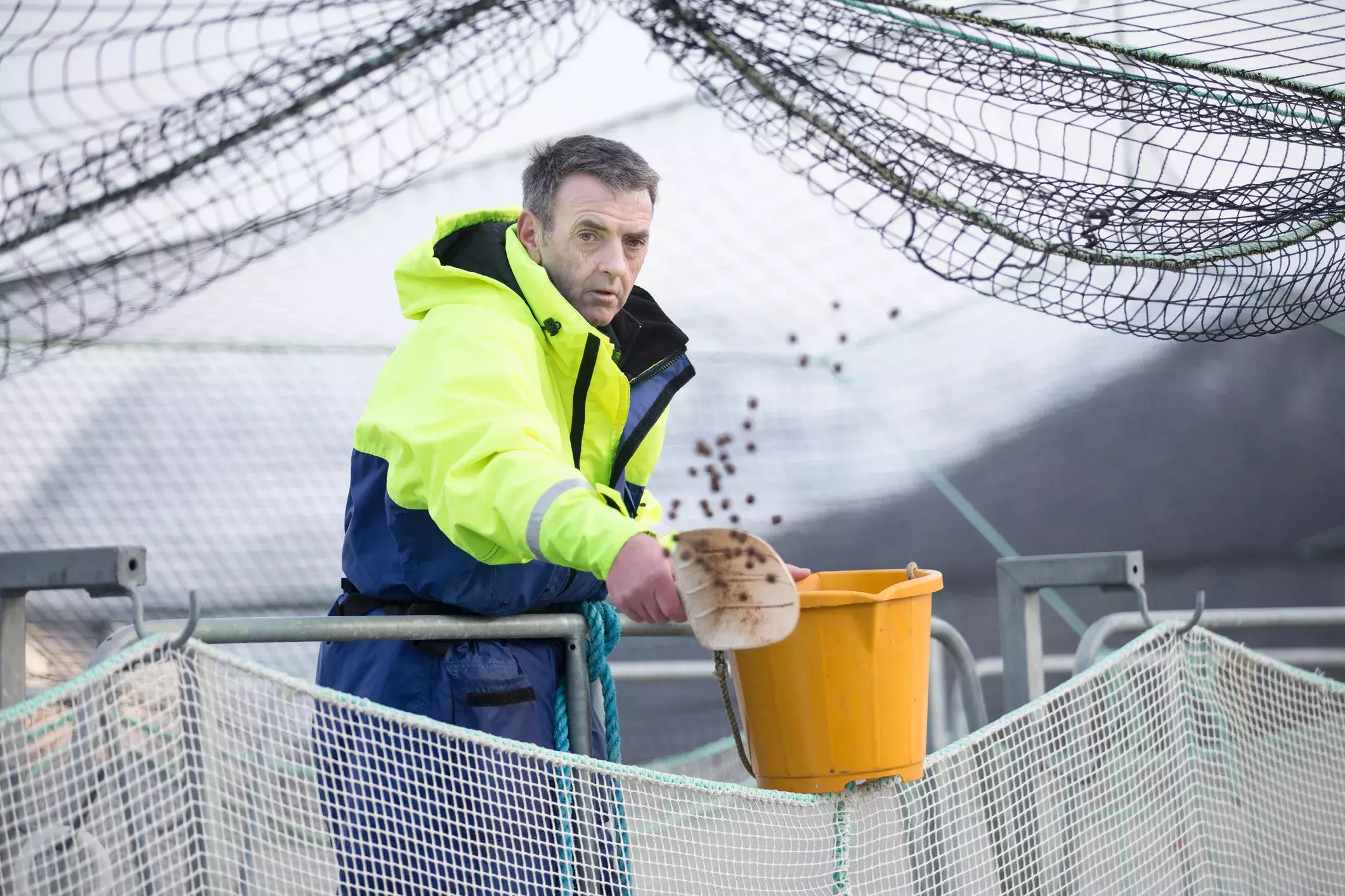 Worker feeds fish Worker feeds fish