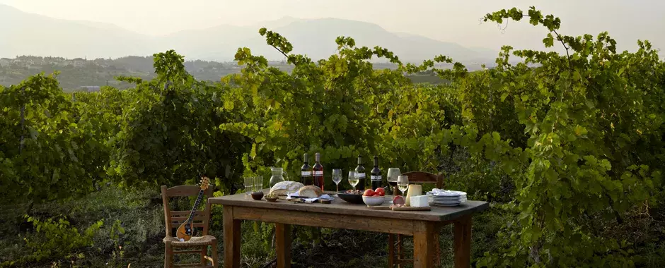 Table set for wine tasting in the family vineyard Table set for wine tasting in the family vineyard