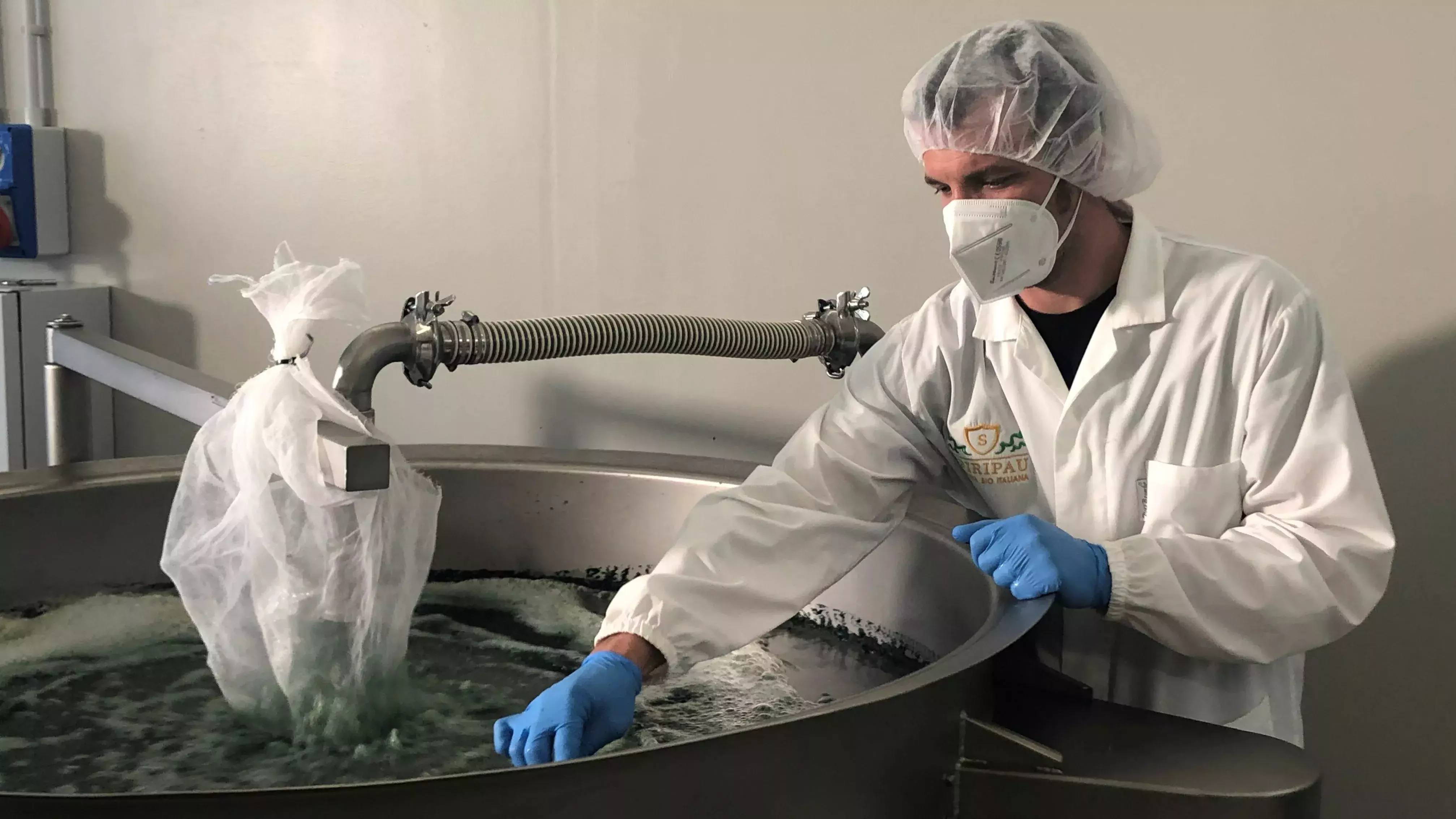 Spiripau's high-tech greenhouses host several water basins and create an entire ecosystem that provides optimal growing conditions for spirulina. Spiripau's high-tech greenhouses host several water basins and create an entire ecosystem that provides optimal growing conditions for spirulina.
