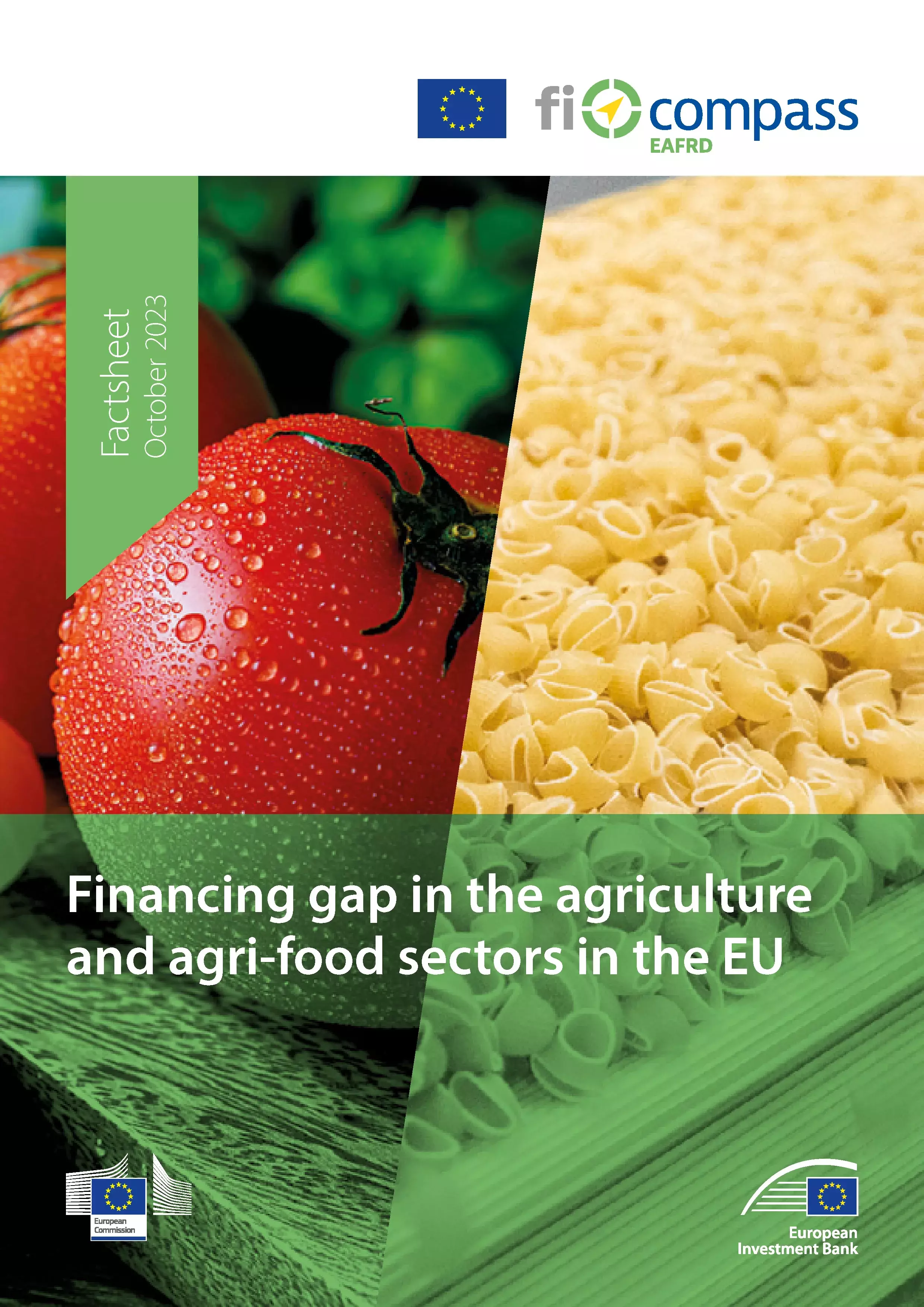 Financing gap in the EU agricultural and agri-food sectors Financing gap in the EU agricultural and agri-food sectors