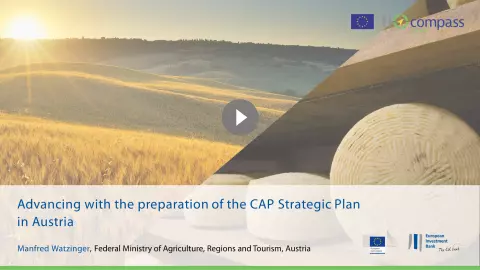 Advancing with the preparation of the CAP Strategic Plan in Austria