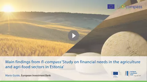 Main findings from fi-compass ‘Study on financial needs in the agriculture and agri-food sectors in Estonia’