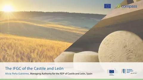 The IFGC of the Castile and León
