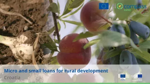 Micro and small loans for rural development