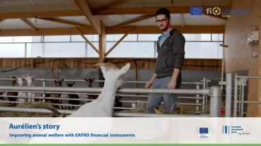 Aurélien’s story – Improving animal welfare with EAFRD financial instruments