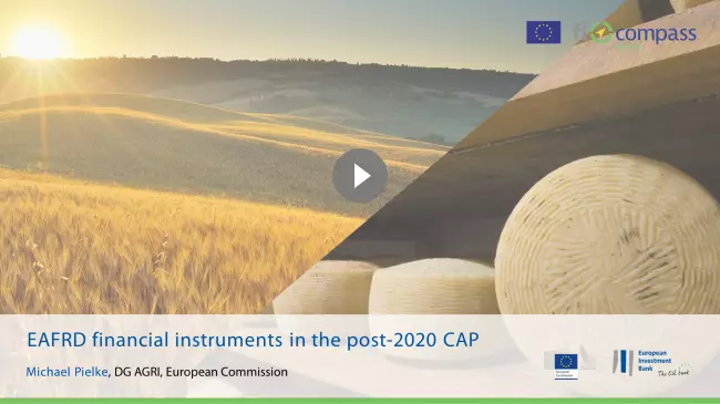 EAFRD financial instruments in the post-2020 CAP