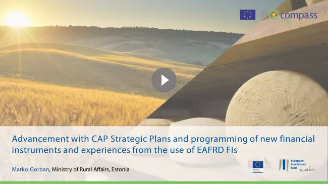 Financing needs in agriculture and agri-food sectors in Estonia
