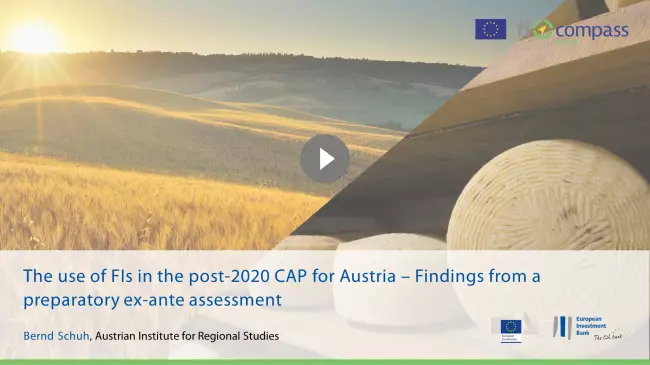 The use of FIs in the post-2020 CAP for Austria – Findings from a preparatory ex-ante assessment