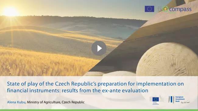 	 State of play of the Czech Republic’s preparation for implementation on financial instruments: results from the ex-ante evaluation