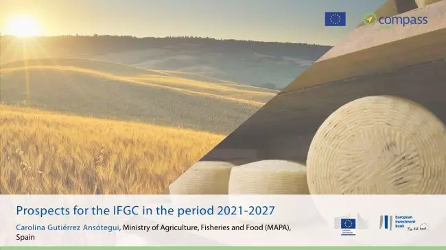 Prospects for the IFGC in the period 2021-2027
