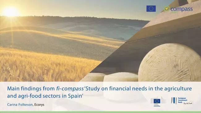 Main findings from fi-compass ‘Study on financial needs in the agriculture and agrifood sectors in Spain’
