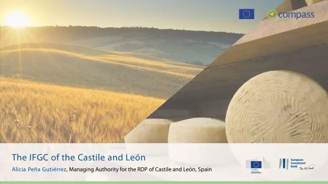 The IFGC of the Castile and León