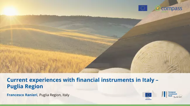 Francesco Ranieri, Responsible for monitoring, evaluation and financial instruments, Puglia Region, Italy