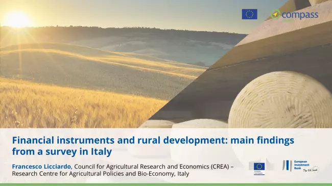 Financial instruments and rural development in Italy