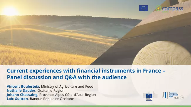 Panel discussion and Q&A with the audience – Current experiences with financial instruments in France