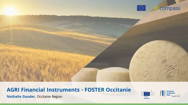 AGRI financial instruments – FOSTER Occitanie