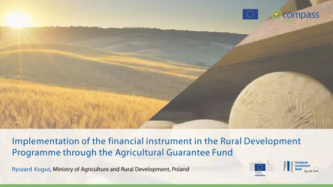 Implementation of the financial instrument in the Rural Development Programme through the Agricultural Guarantee Fund