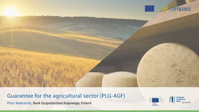 Guarantee for the agricultural sector (PLG-AGF)