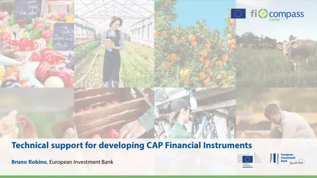 Technical support for developing CAP Financial Instruments