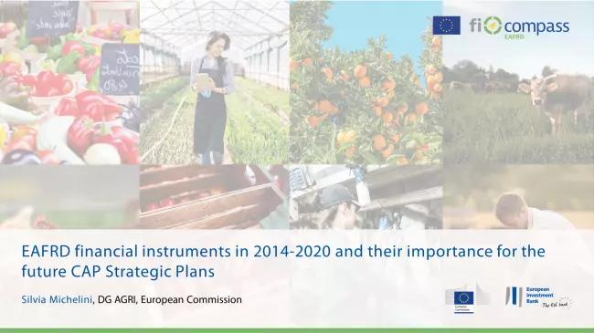 EAFRD financial instruments in 2014-2020 and their importance for the future CAP Strategic Plans