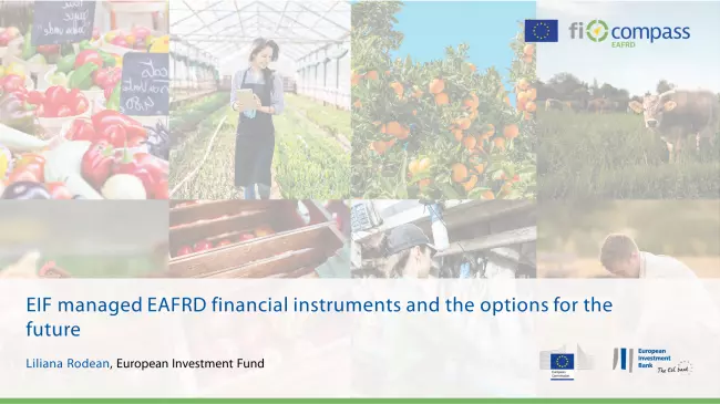 EIF managed EAFRD financial instruments and the options for the future