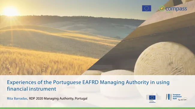 Experiences of the Portuguese EAFRD Managing Authority in using financial instrument